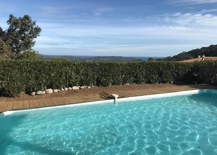 Benedetu 维琪奥港